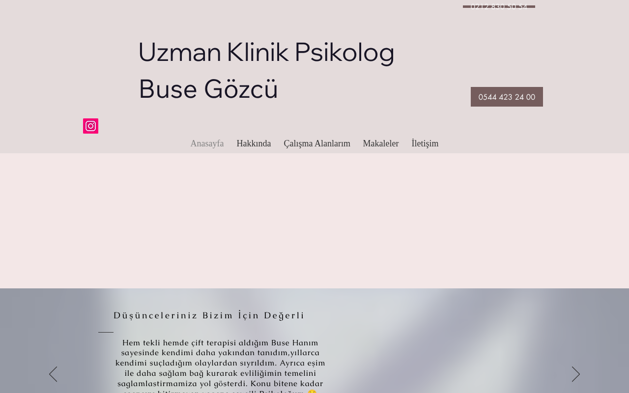 Web sitesi görüntüsü