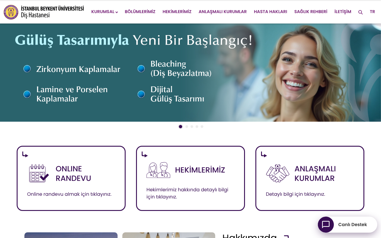 Web sitesi görüntüsü