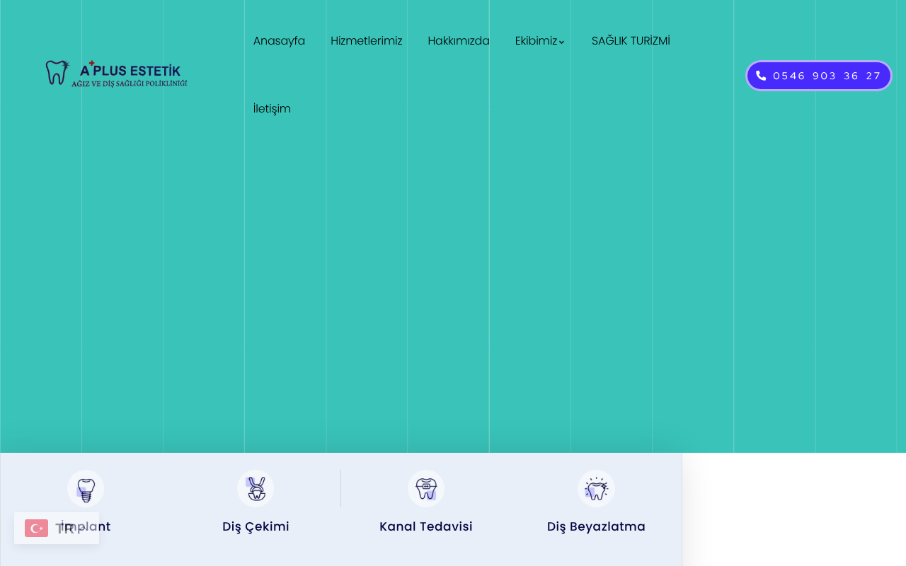 Web sitesi görüntüsü