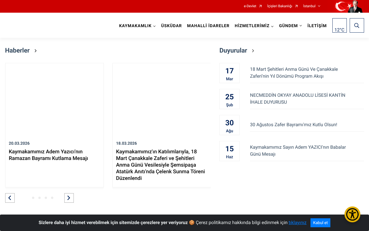 Web sitesi görüntüsü