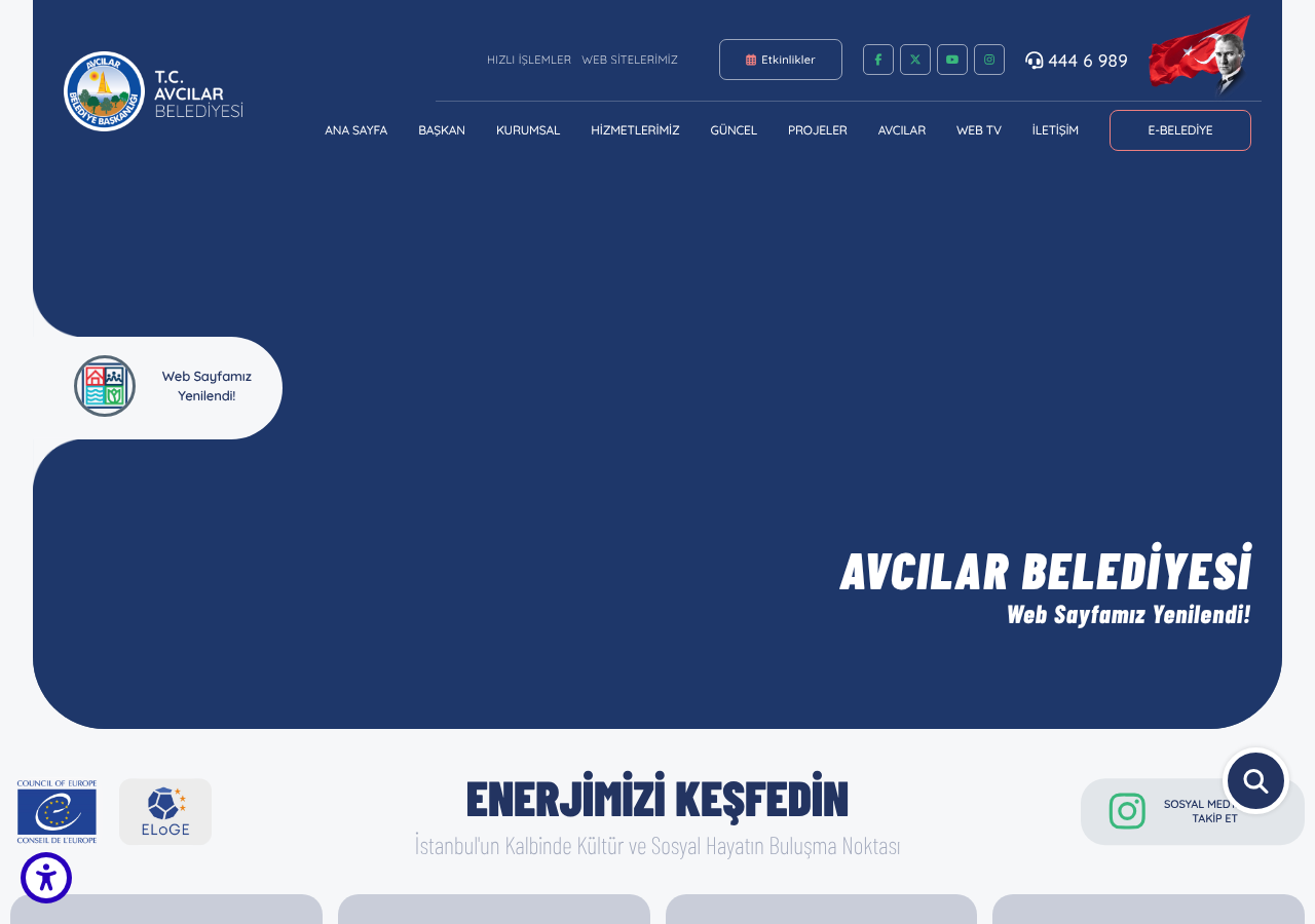 Web sitesi görüntüsü