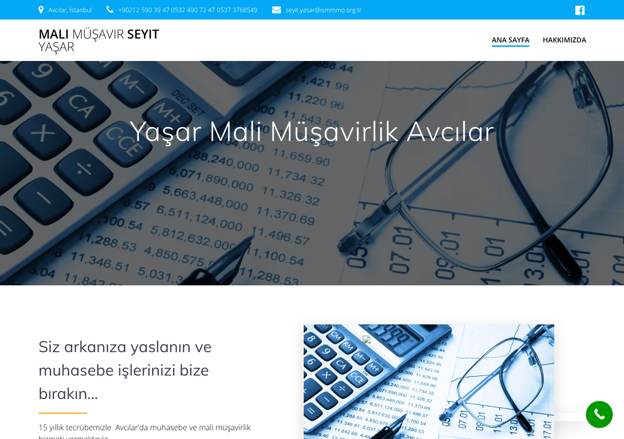 Mali Müşavir Seyit Yaşar