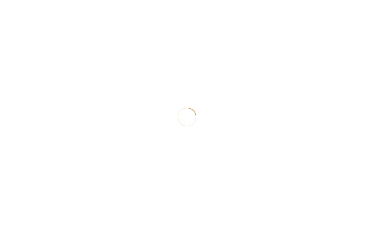 Web sitesi görüntüsü