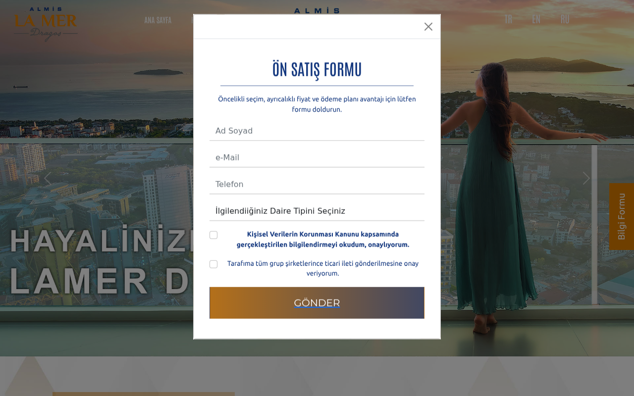 Web sitesi görüntüsü