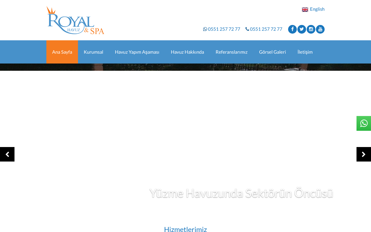 Web sitesi görüntüsü