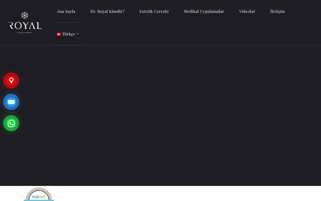 Web sitesi görüntüsü