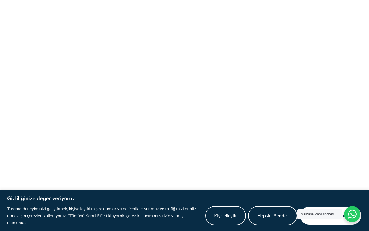 Web sitesi görüntüsü