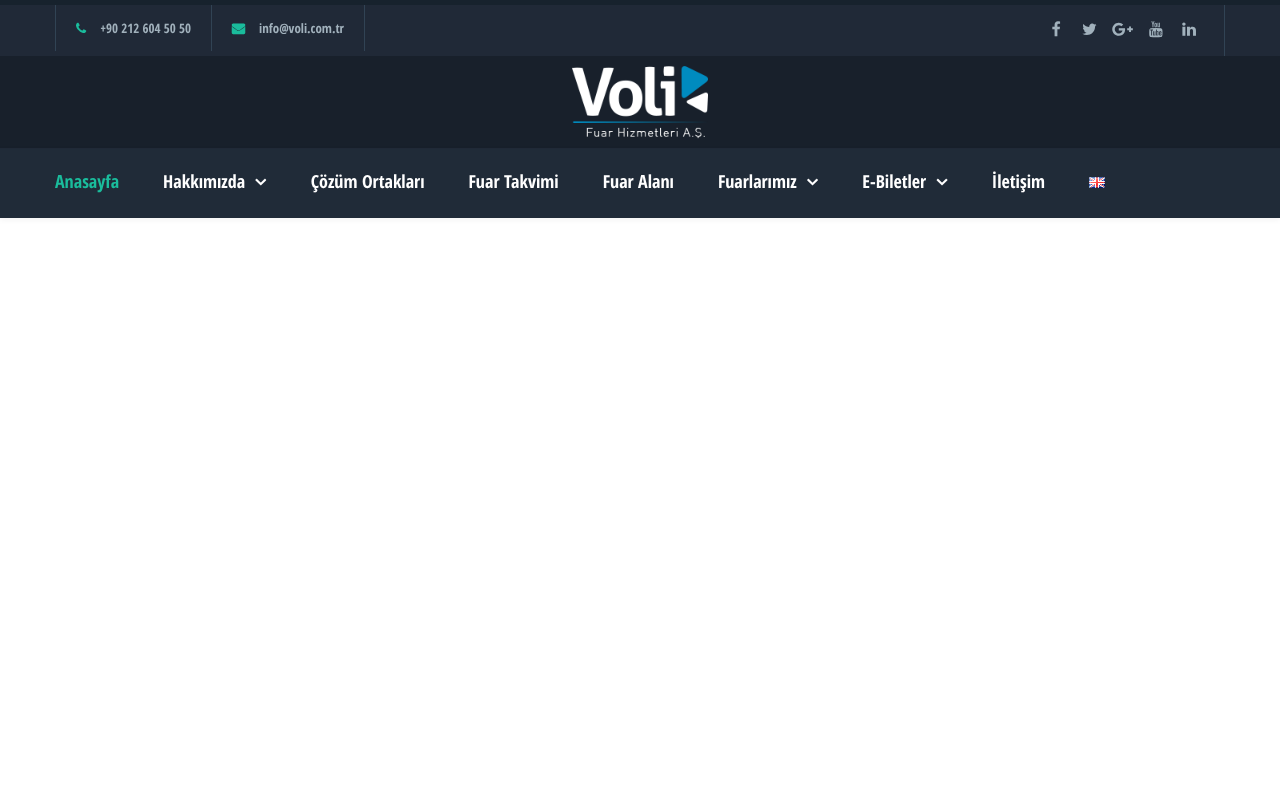 Web sitesi görüntüsü