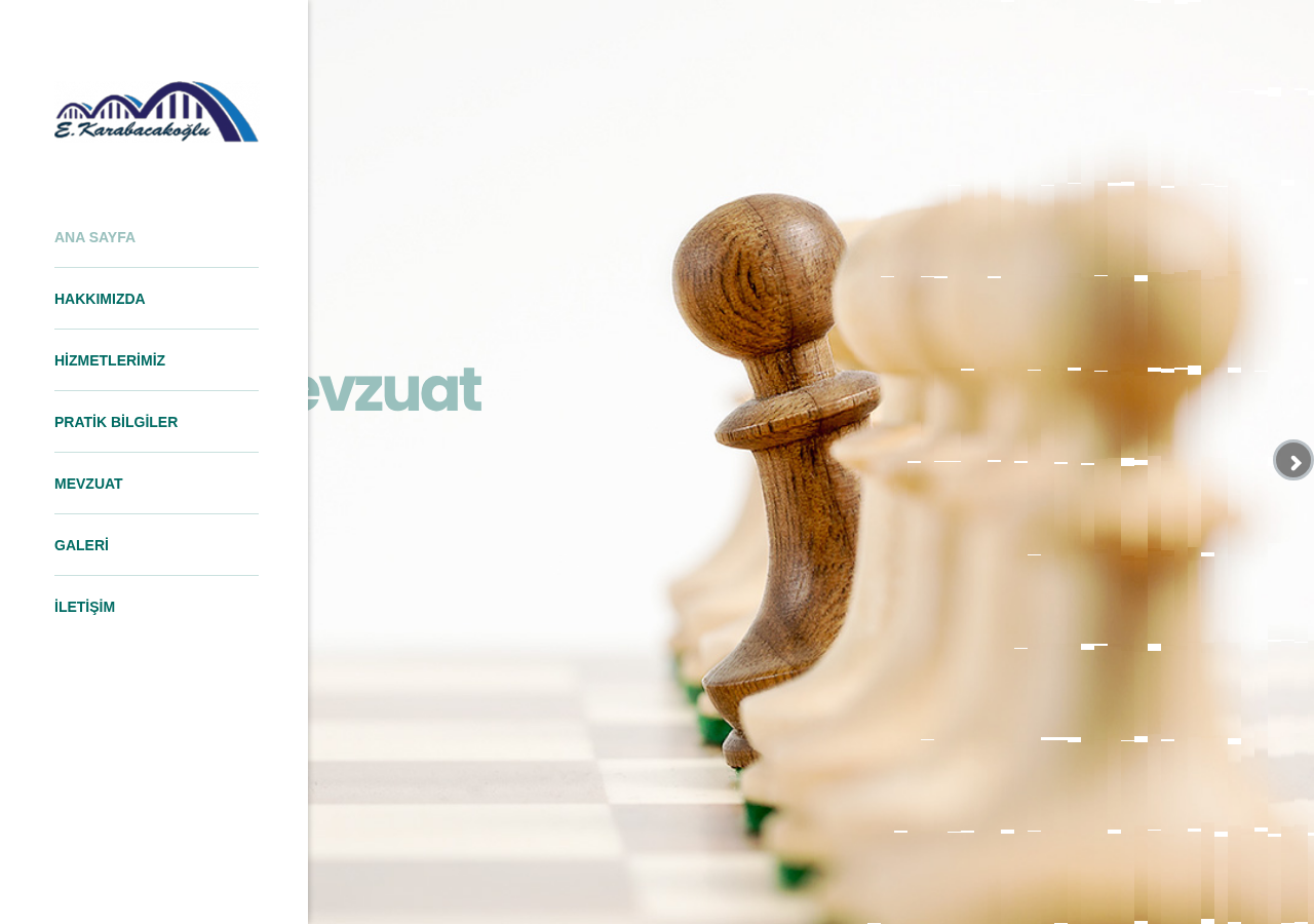 Esenyurt Muhasebeci, Mali Müşavir Ergin Karabacakoğlu