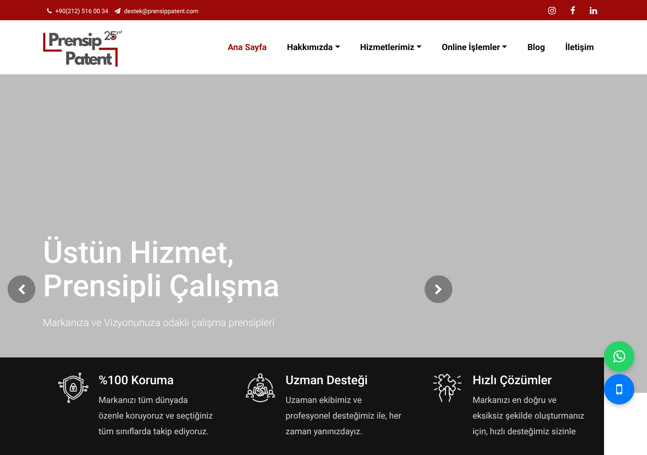 Web sitesi görüntüsü