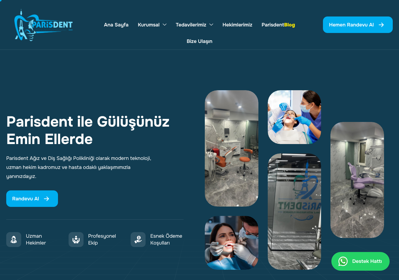 Web sitesi görüntüsü