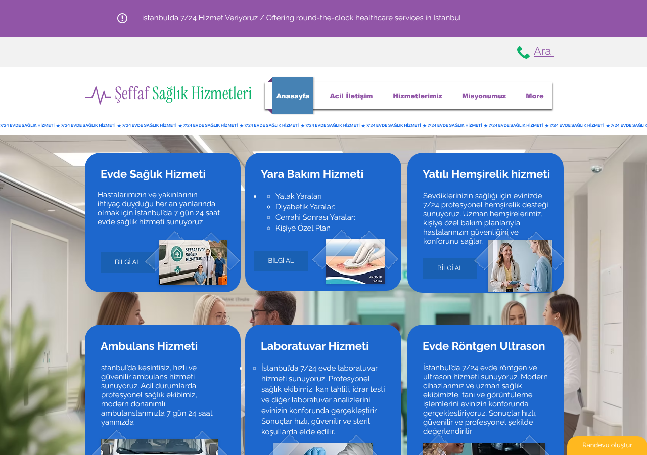 Web sitesi görüntüsü