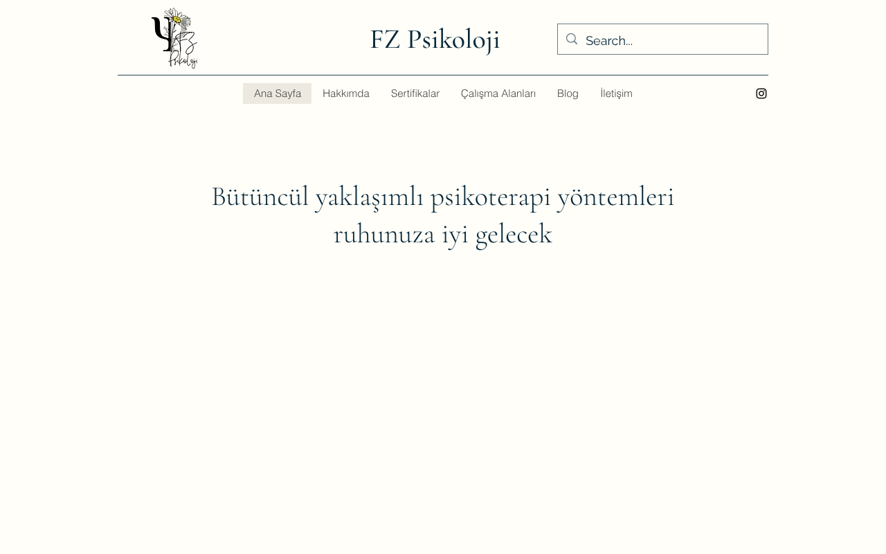Web sitesi görüntüsü