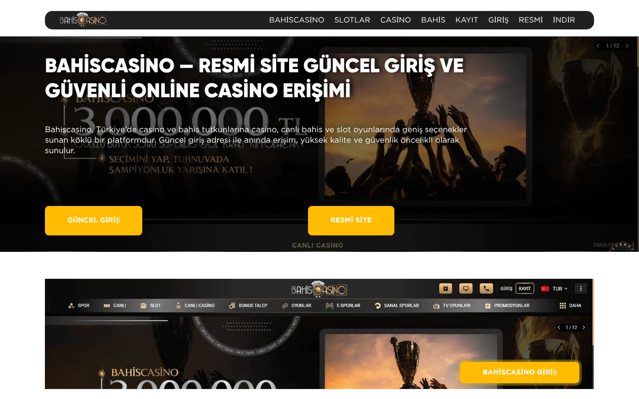 Web sitesi görüntüsü