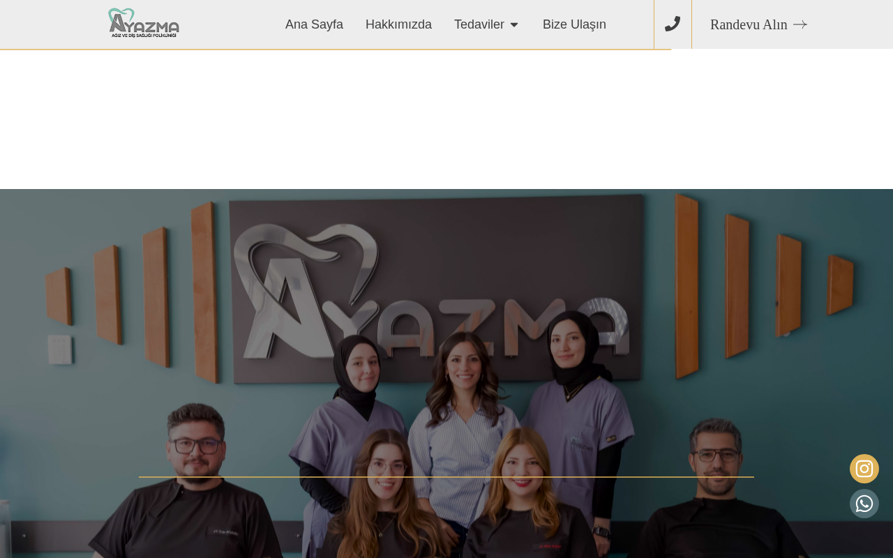 Web sitesi görüntüsü