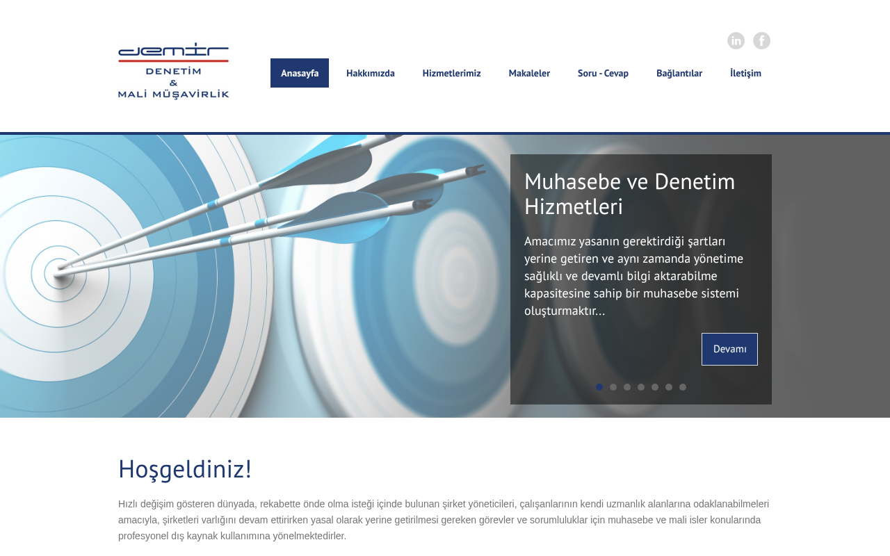 Demir Denetim ve Mali Müşavirlik screenshot