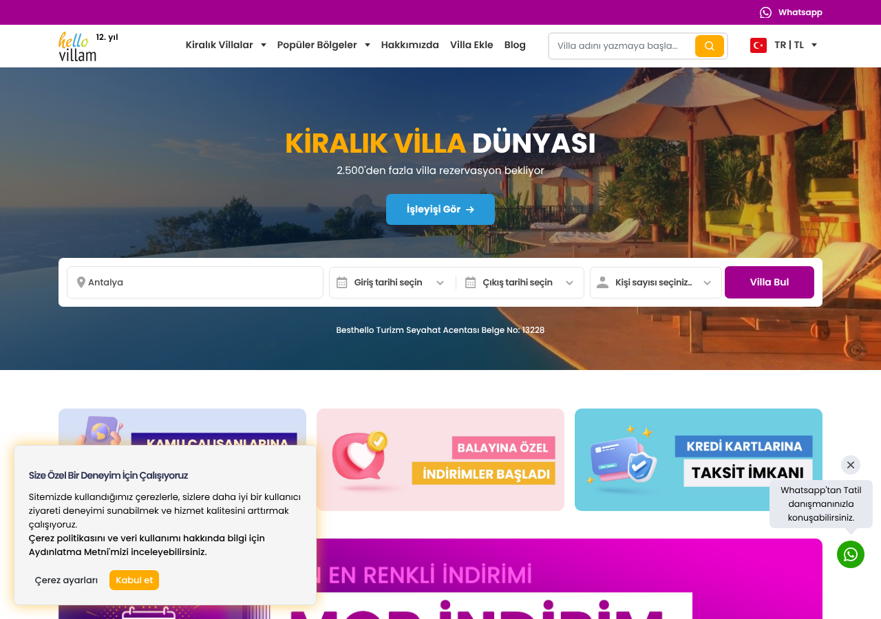 Web sitesi görüntüsü