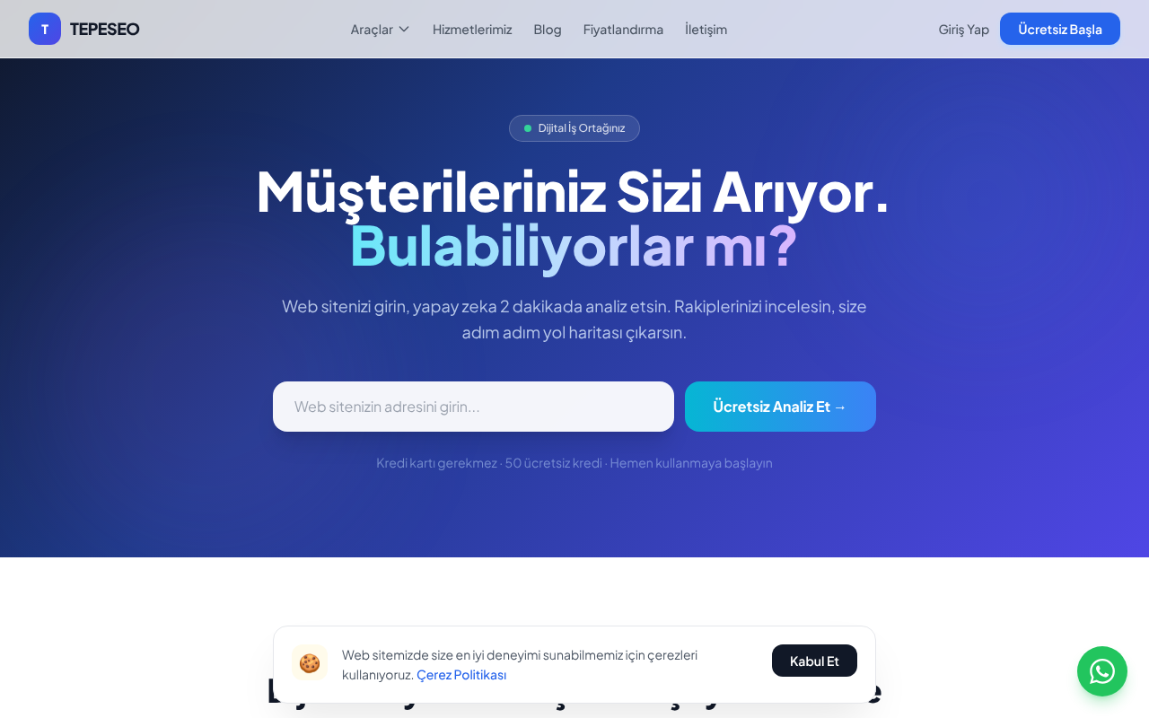 TEPESEO screenshot