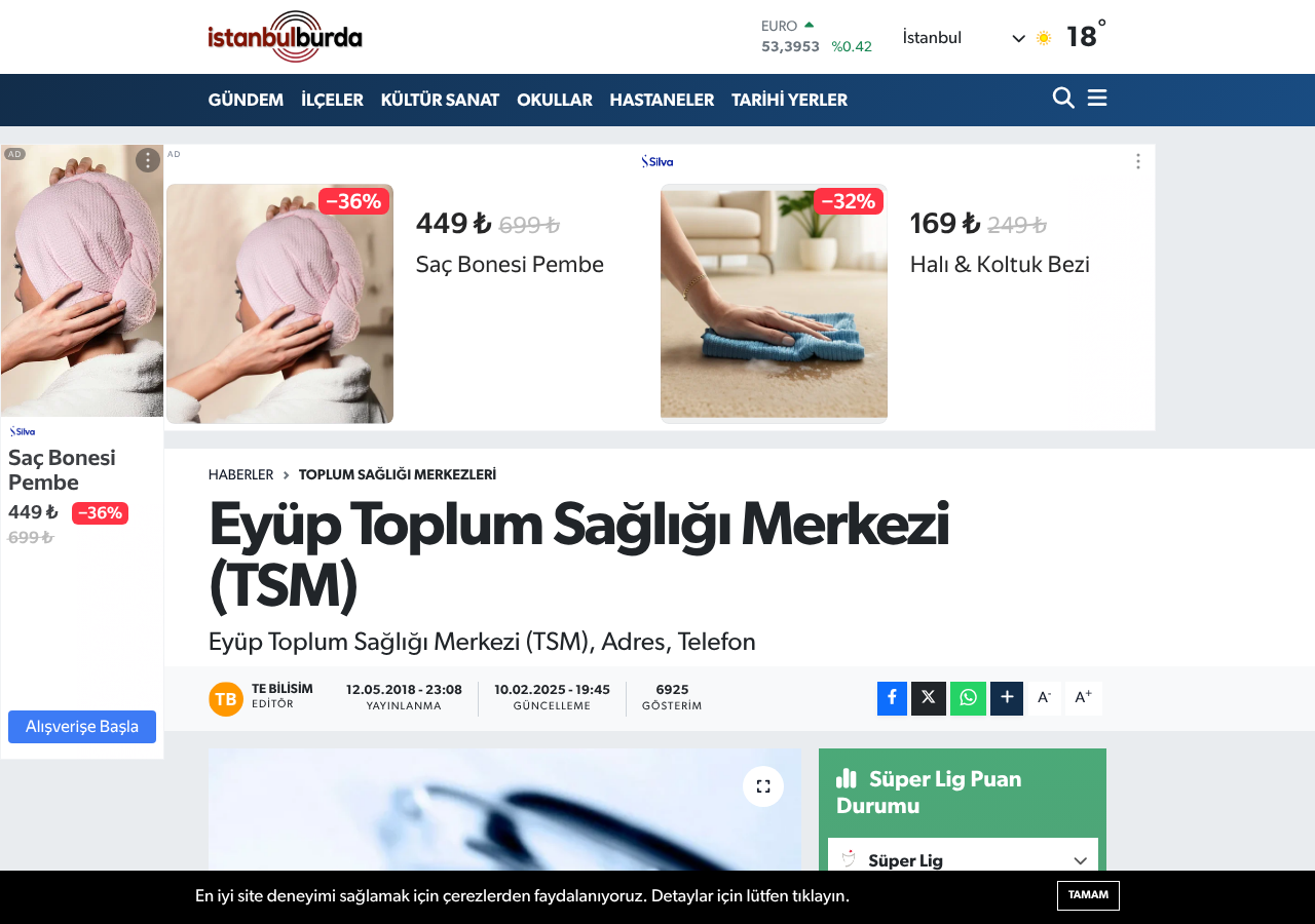 Web sitesi görüntüsü
