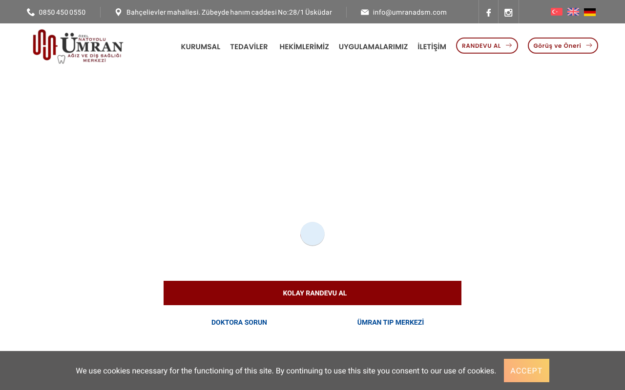 Web sitesi görüntüsü