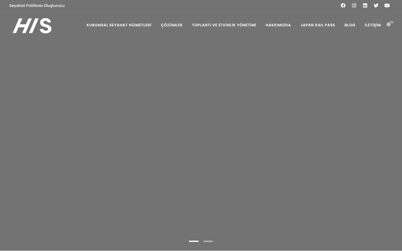 Web sitesi görüntüsü