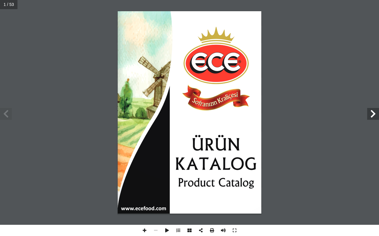 Mesa Gida & ECE  Zeytin ve Zeytinya?? — Site Report