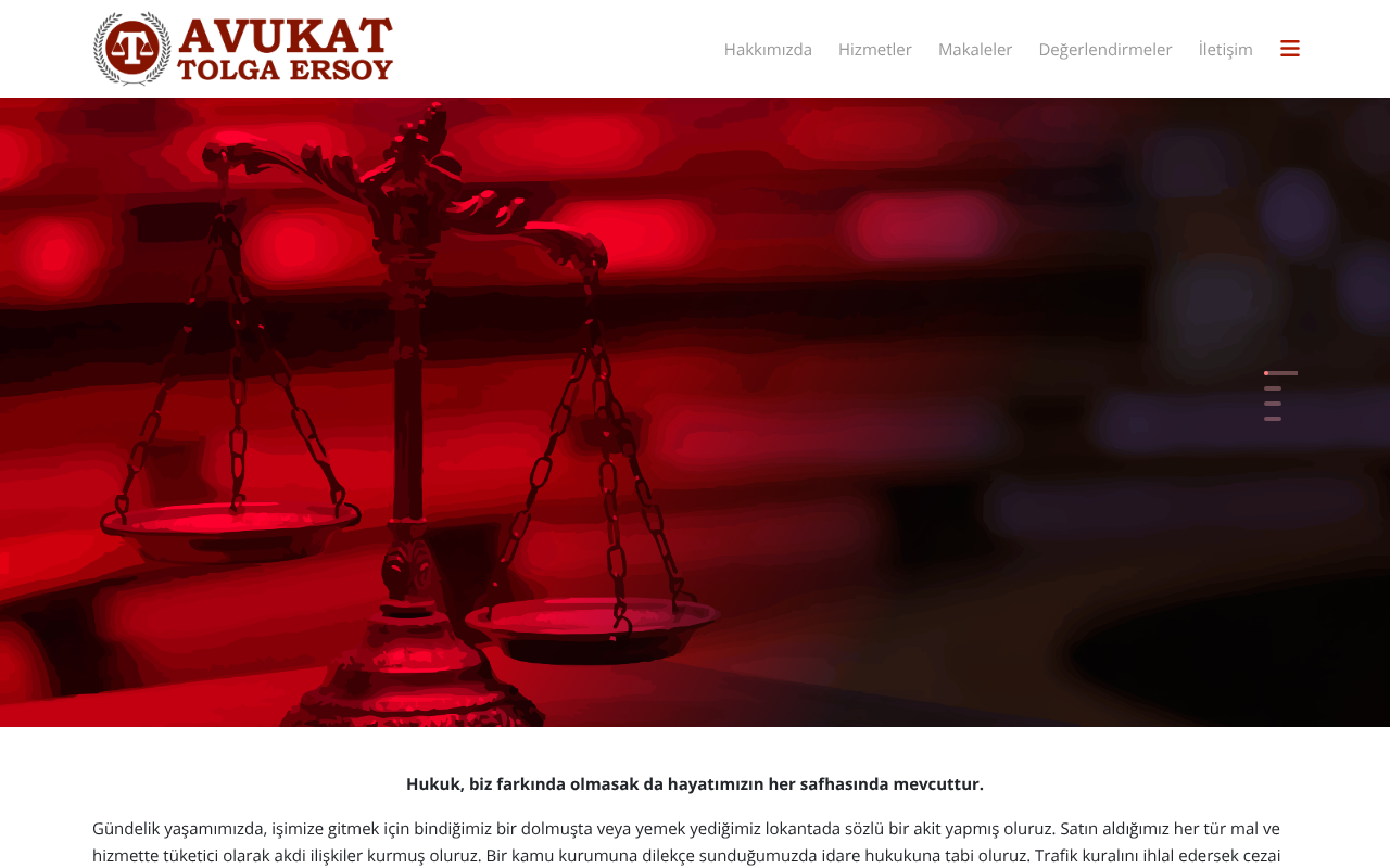 Web sitesi görüntüsü