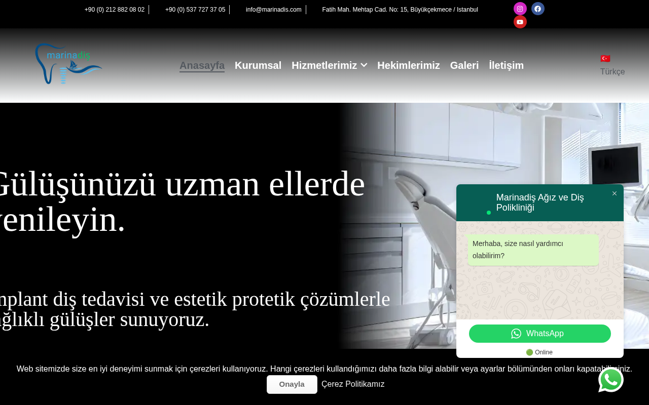 Web sitesi görüntüsü