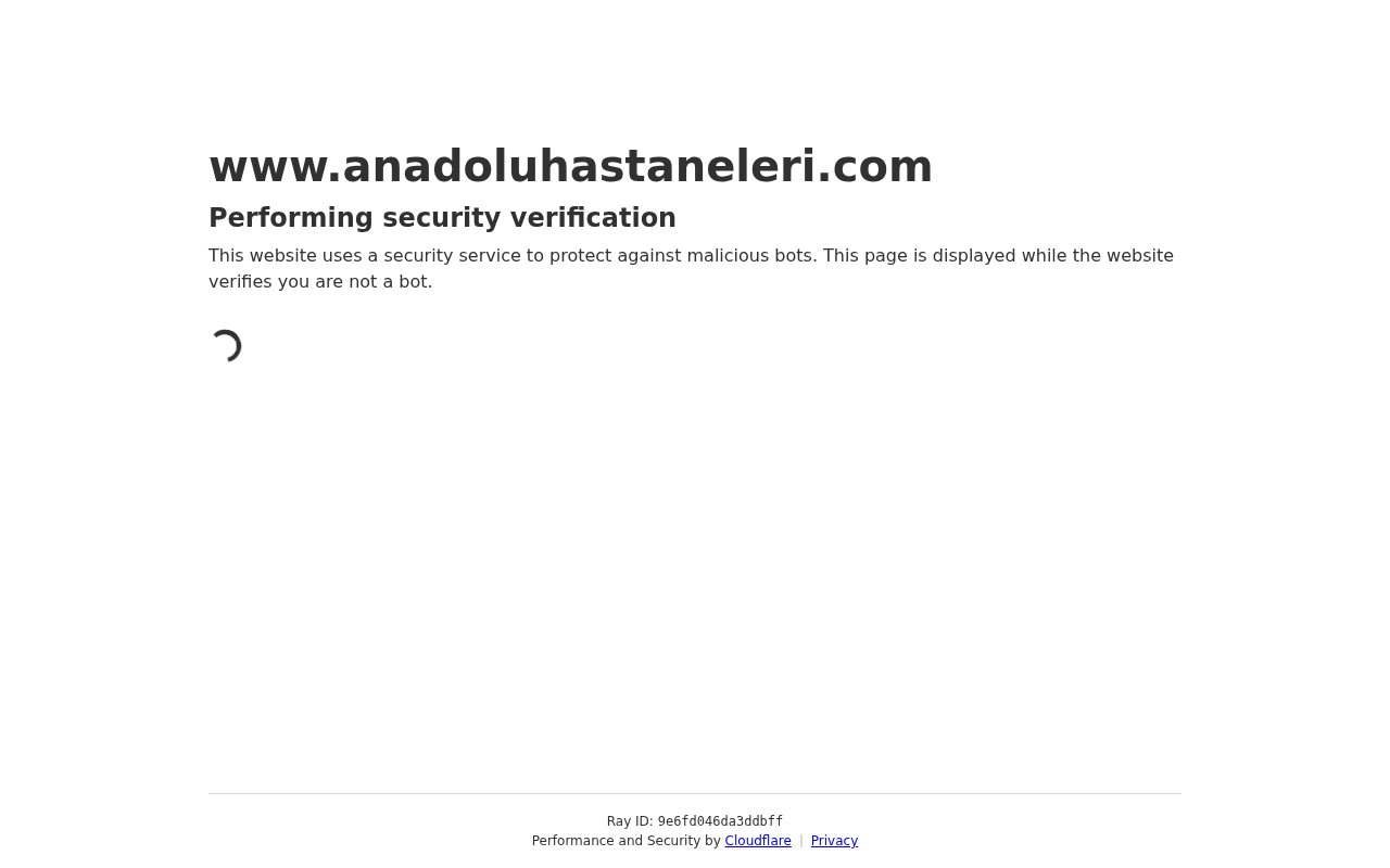 Web sitesi görüntüsü