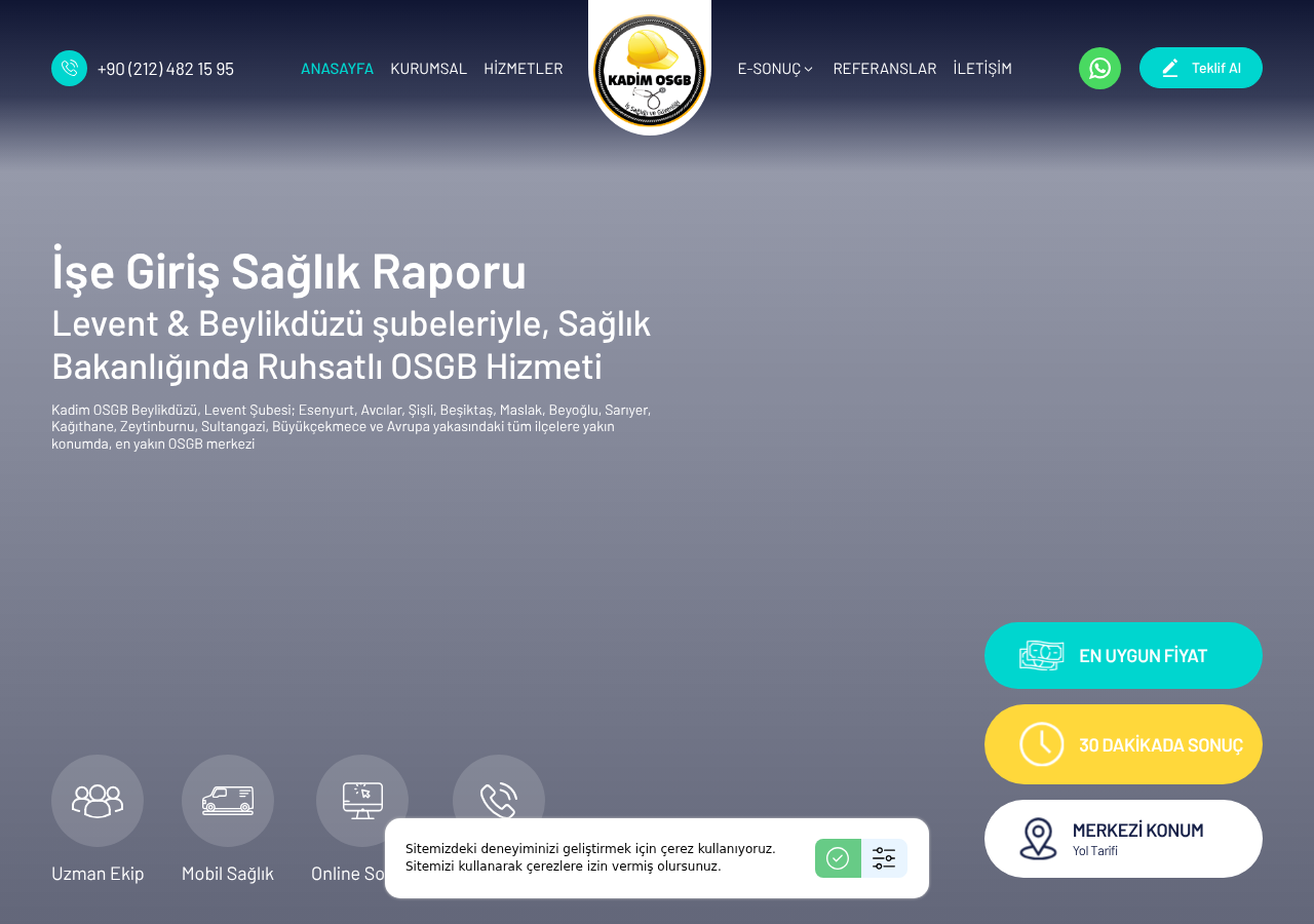 Web sitesi görüntüsü