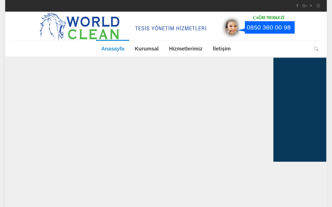 Web sitesi görüntüsü