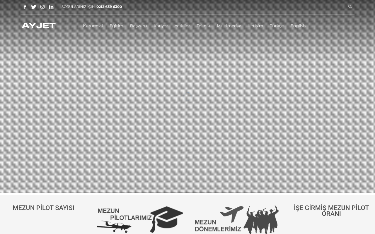 Web sitesi görüntüsü