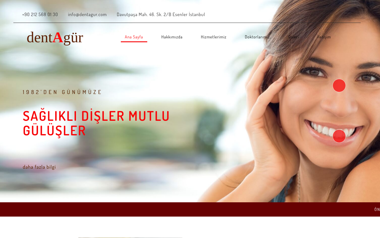 Web sitesi görüntüsü