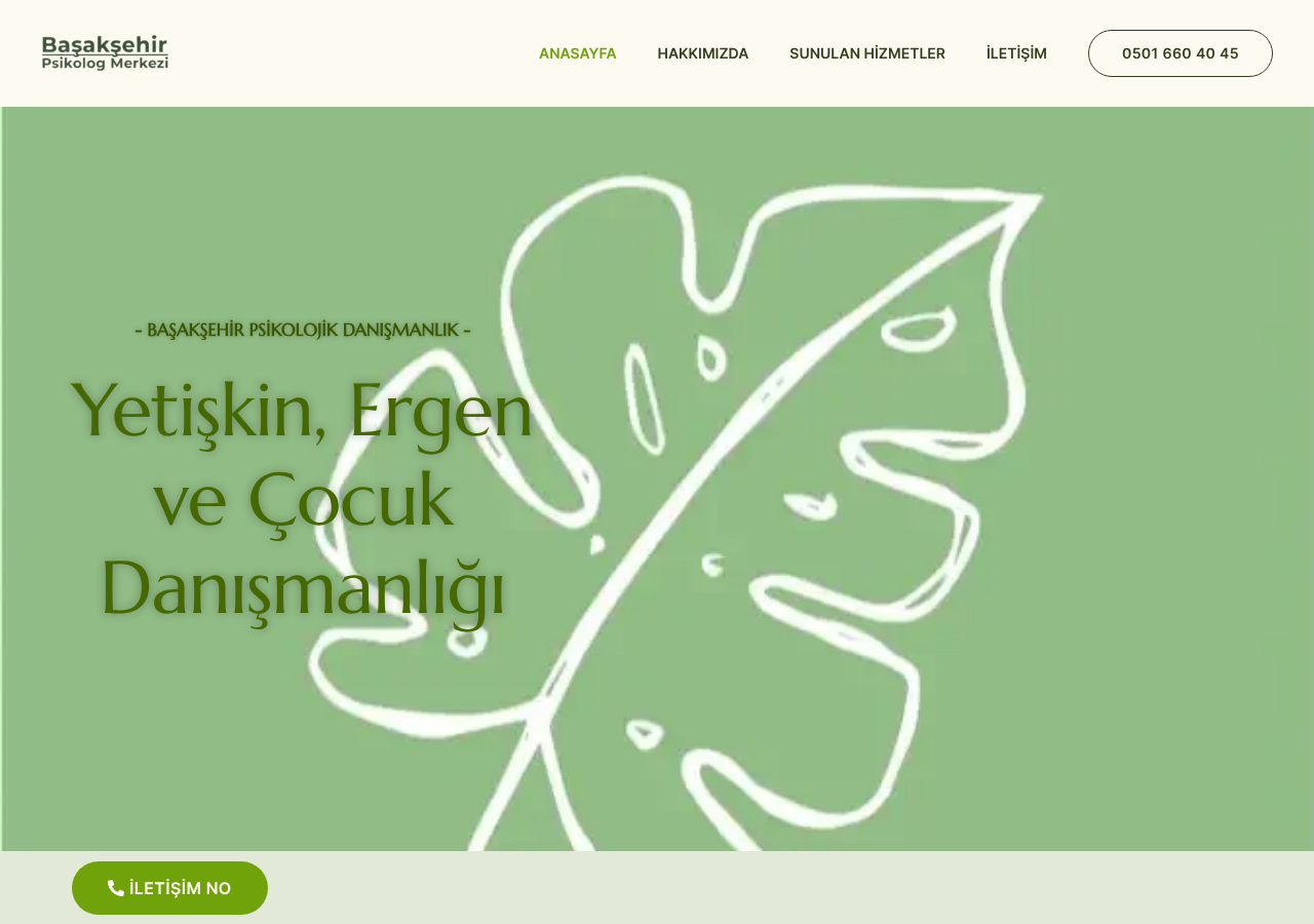 basaksehirpsikologmerkezi.com