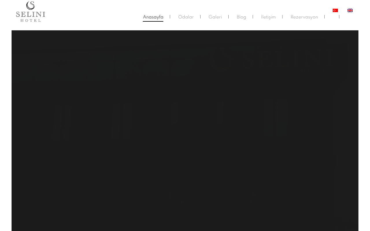 Web sitesi görüntüsü