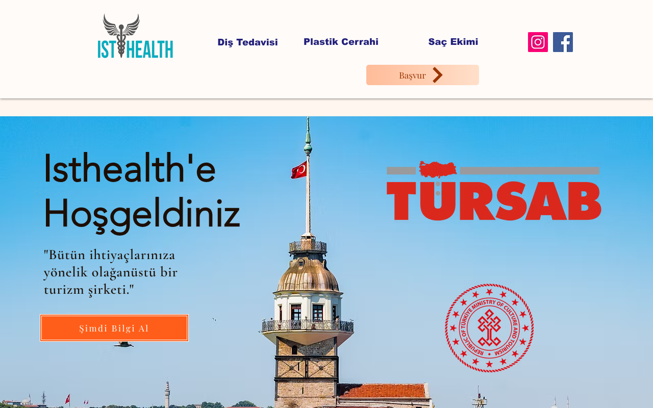Web sitesi görüntüsü