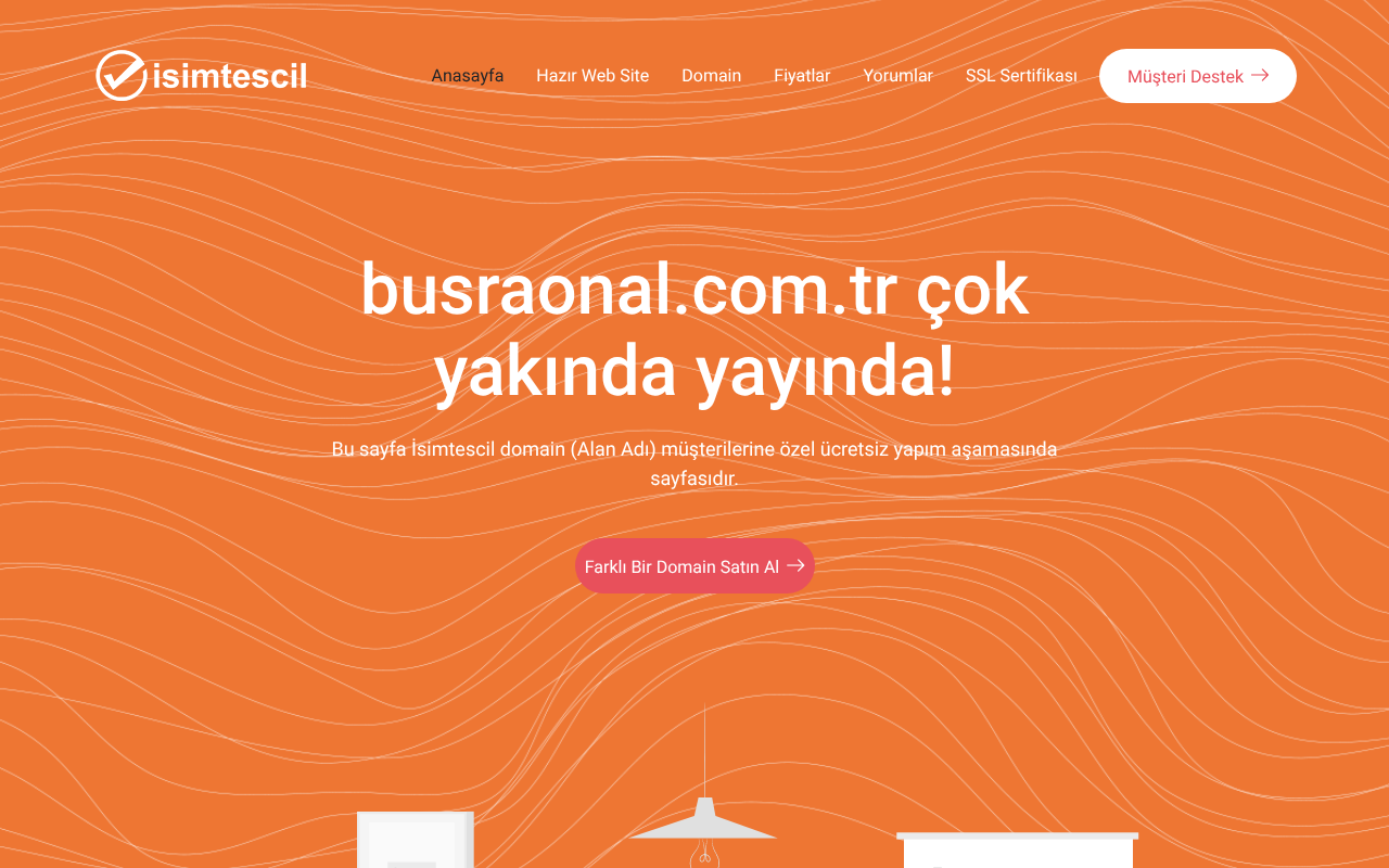 Web sitesi görüntüsü