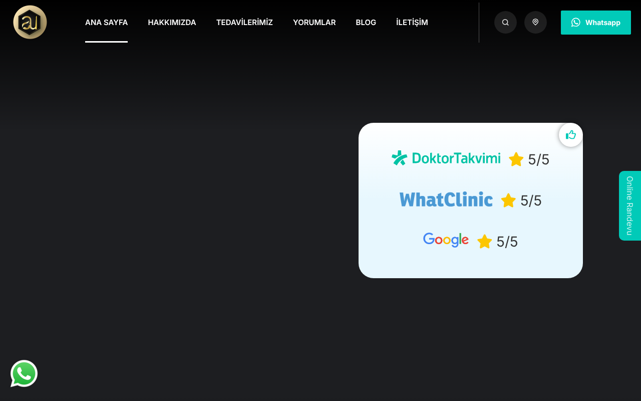 Web sitesi görüntüsü