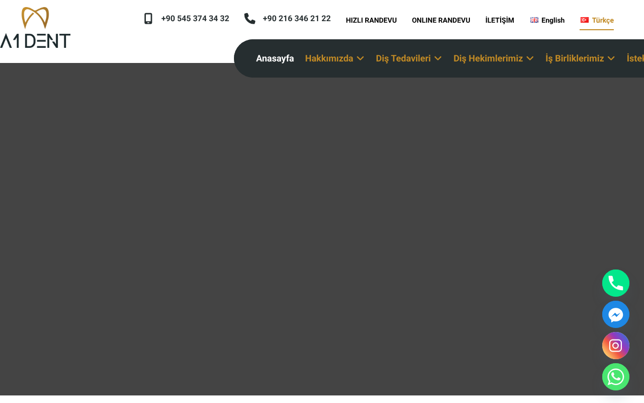 Web sitesi görüntüsü