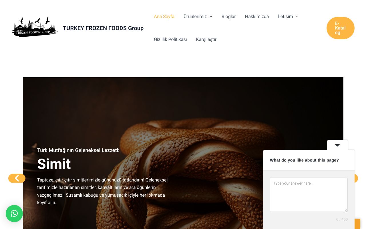 Web sitesi görüntüsü