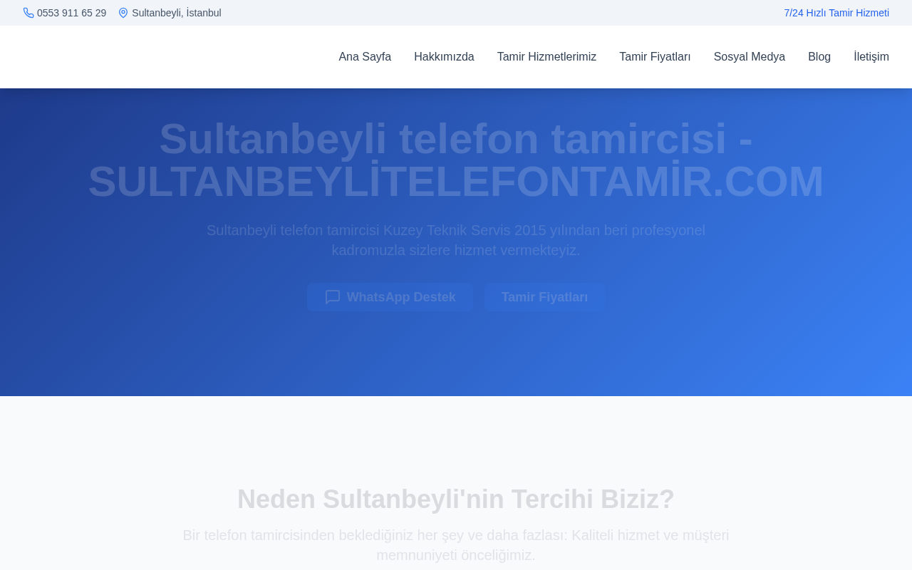 Web sitesi görüntüsü