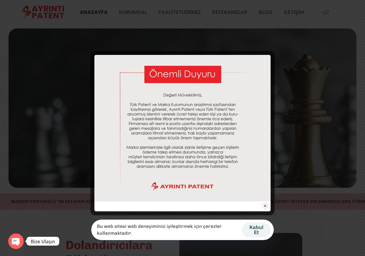 Ayrıntı Patent screenshot