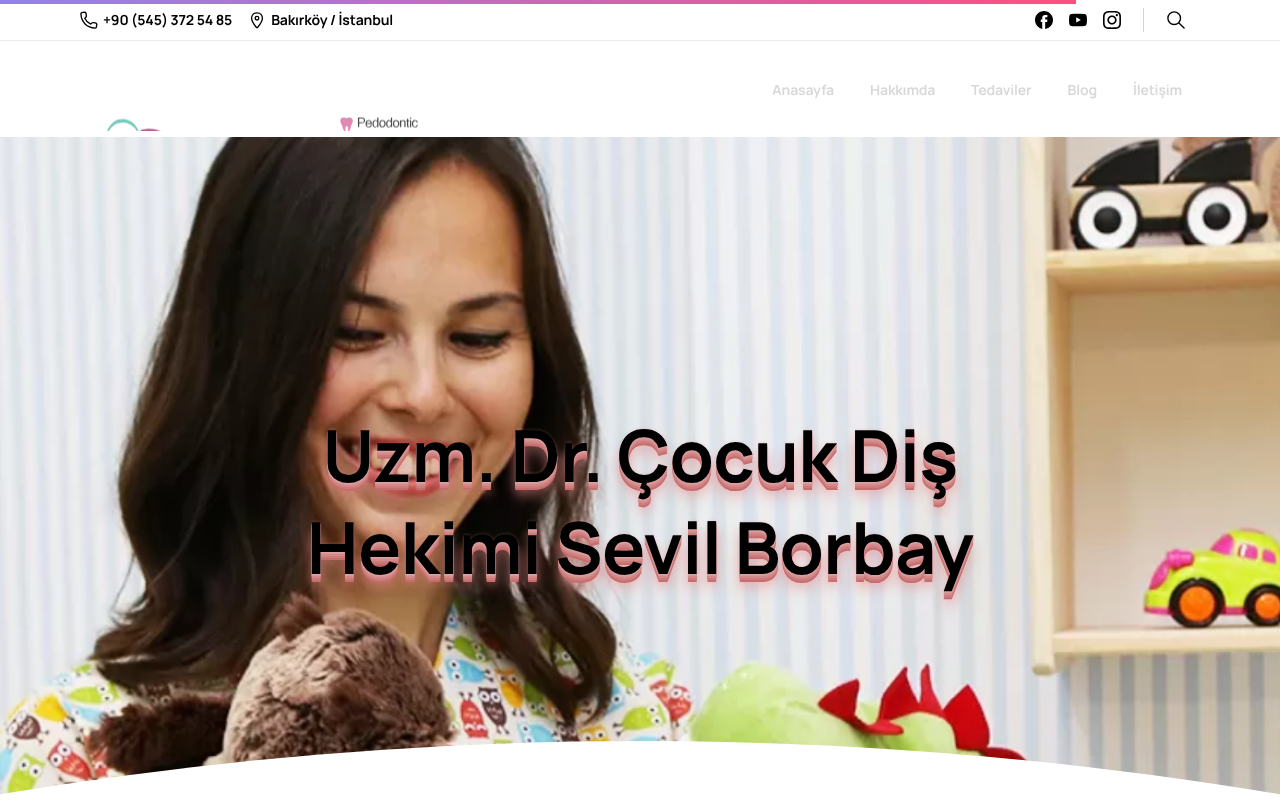 Web sitesi görüntüsü