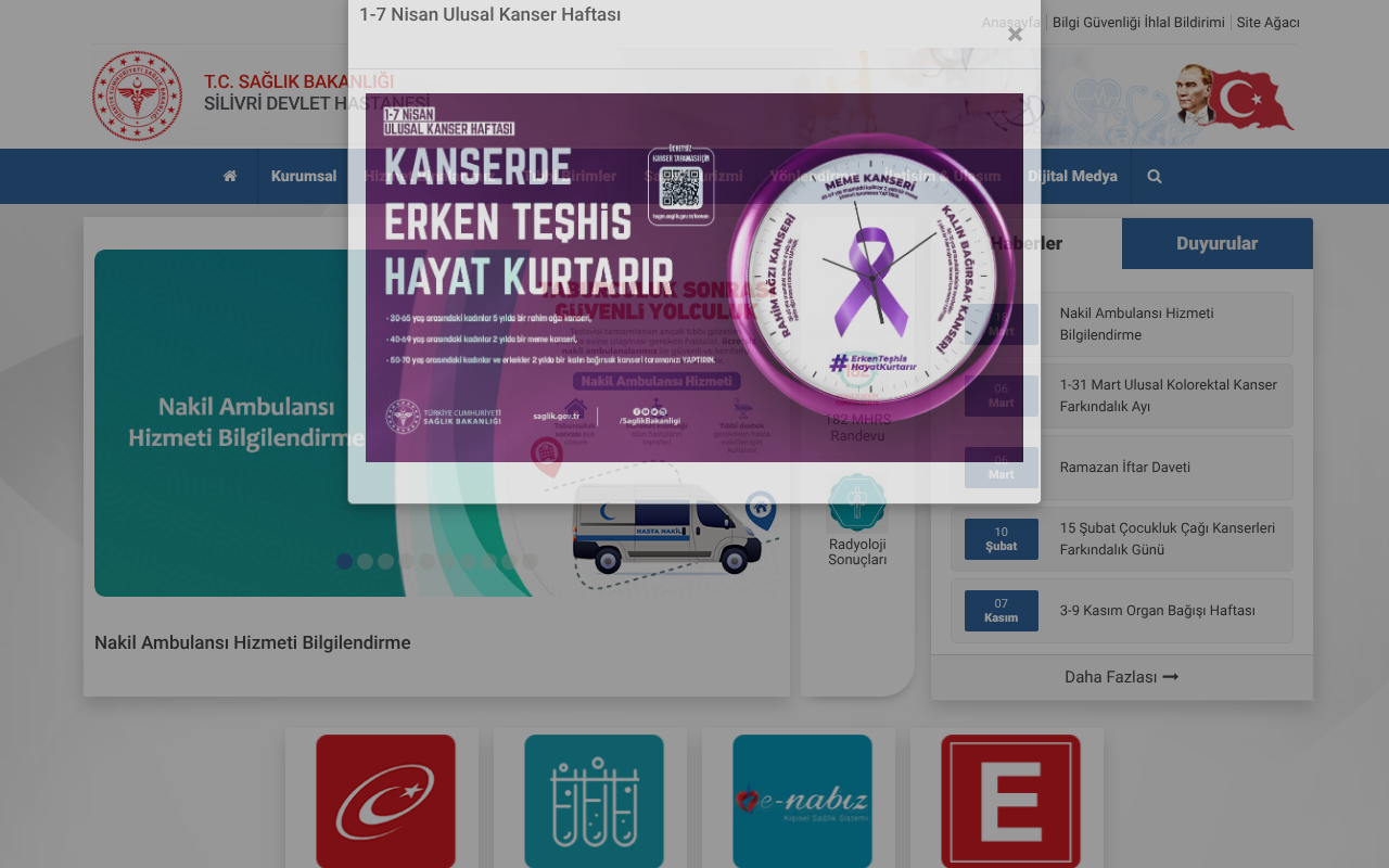 Web sitesi görüntüsü