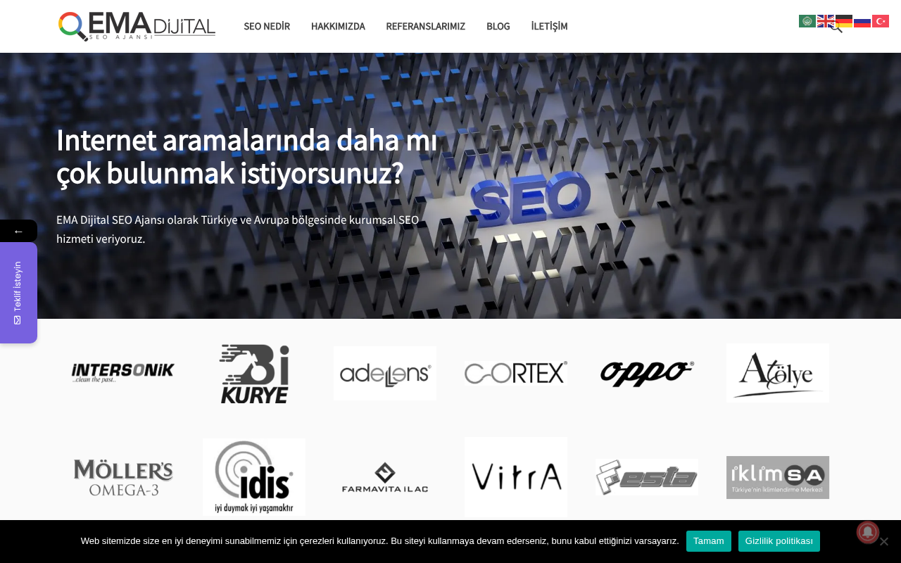 EMA Dijital SEO Ajansı — Site Report