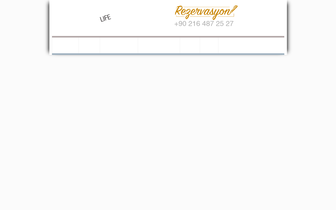 Web sitesi görüntüsü