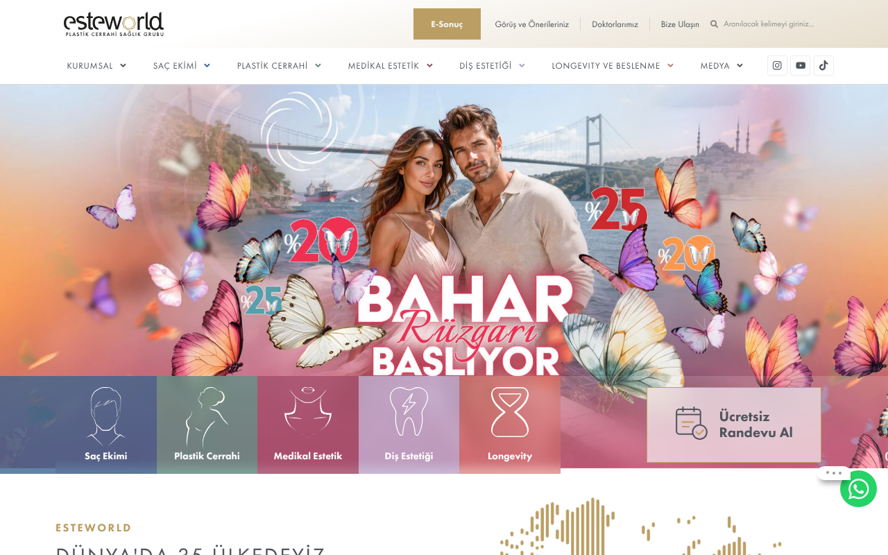 Web sitesi görüntüsü