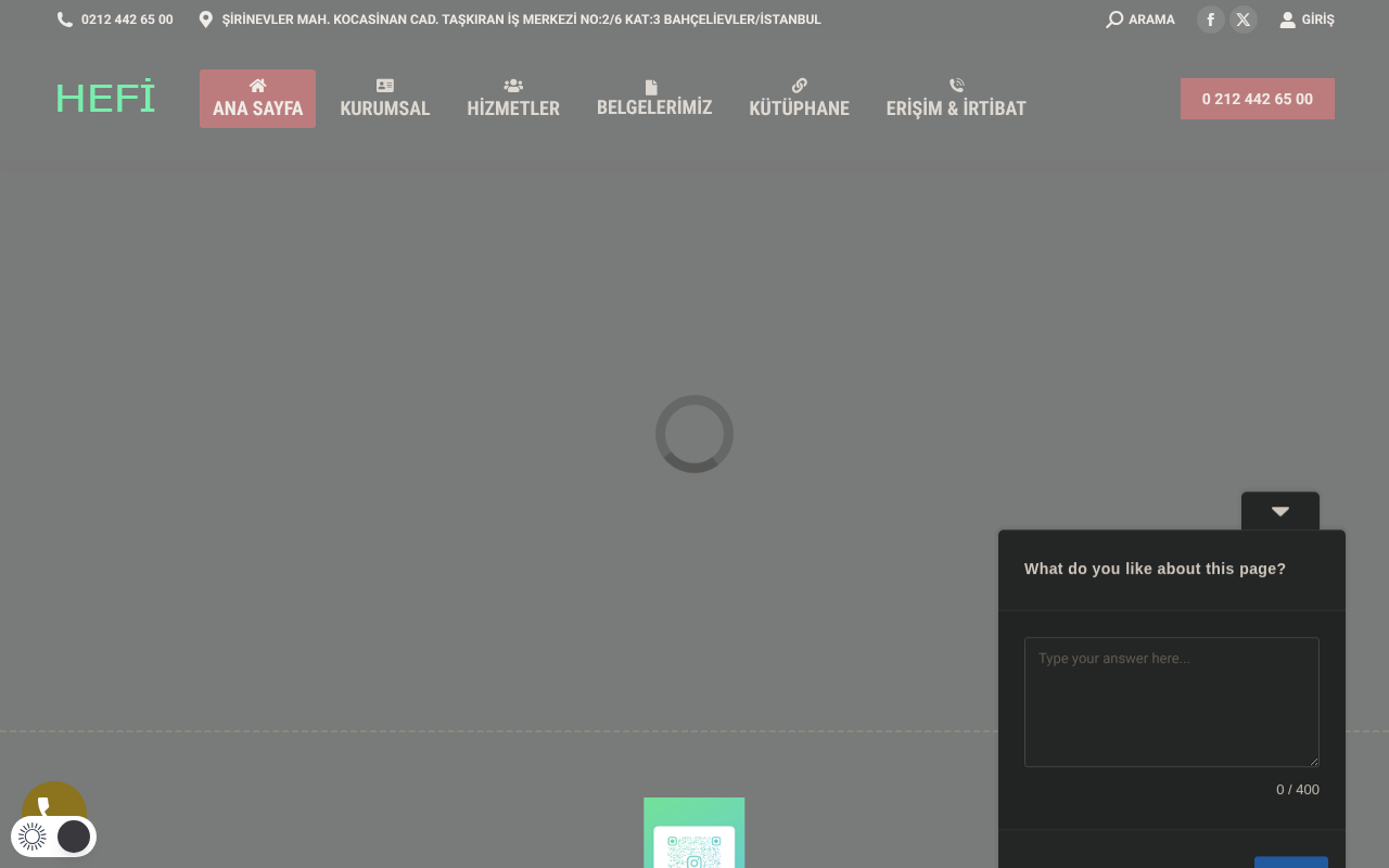 Web sitesi görüntüsü