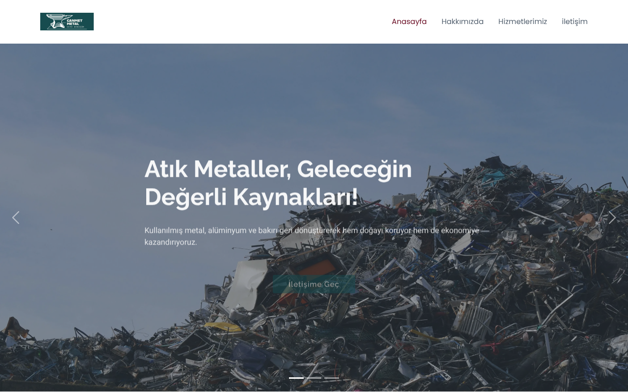 Web sitesi görüntüsü