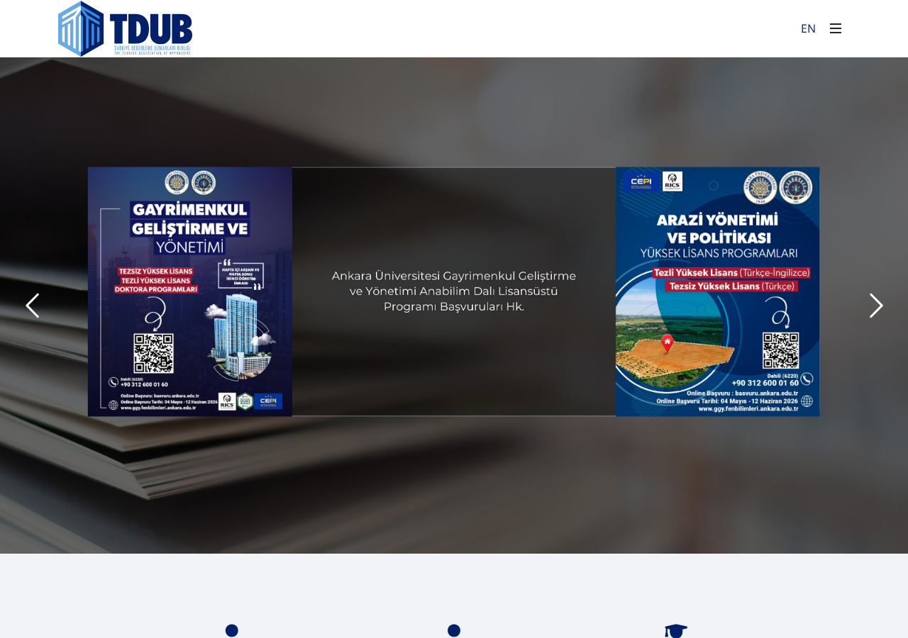 Web sitesi görüntüsü